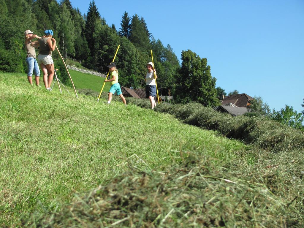 Lercherhof Фелд ам Зее Екстериор снимка